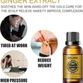 EELHOE - Ginger Essential Oil